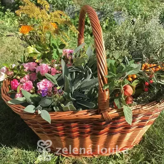Den s bylinkami